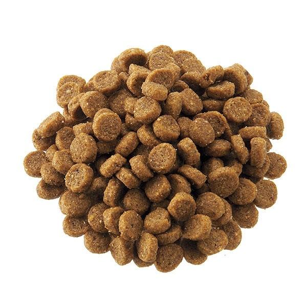 ドッグフード ARTEMIS Breeder's Pack 18kg ドッグフード ARTEMIS Breeder's Pack 18kg フレッシュミックス