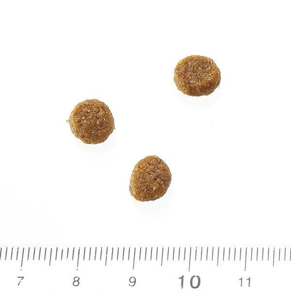 ドッグフード ARTEMIS Breeder's Pack 18kg フレッシュミックス