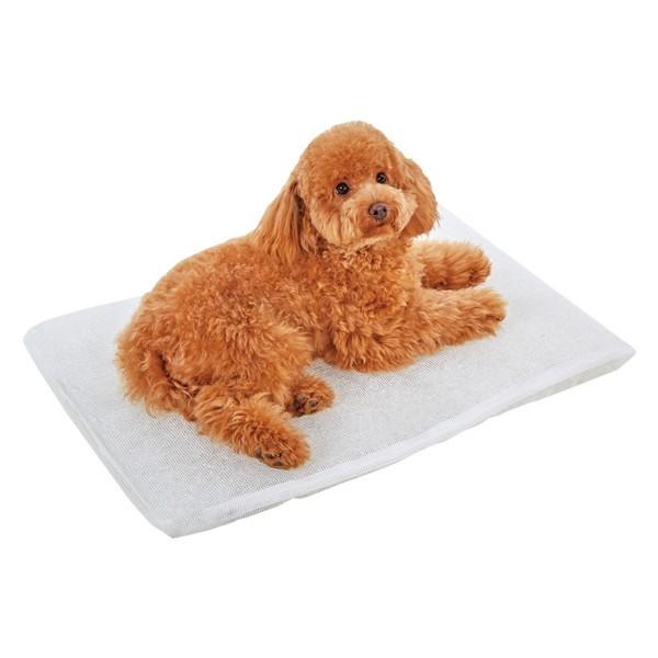 ❤かわいいペットに❣️格安❣️個別にもお譲ります☄️中古水槽☄️大・中大・中・小 カワキヨ (@JwtTyFTXDFda6bd) / X