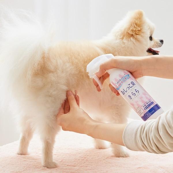 犬 トイレ 猫 トイレ おしっこ臭きらら ふき取りスプレー 300ml 消臭 ニオイ ペット おむつ おもらし 介護｜peppynet｜02