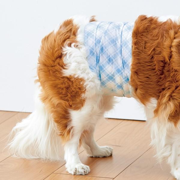 犬 トイレ 猫 おしっこ臭きらら ふき取りスプレー 300ml 消臭