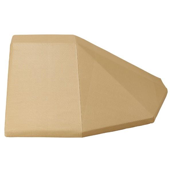 犬 スロープ 健やかスロープ 本体＋左袖　シニア 老犬 補助 歩行補助 階段 小型犬 中型犬 介助 介護 ヘルニア 関節痛 ペット 