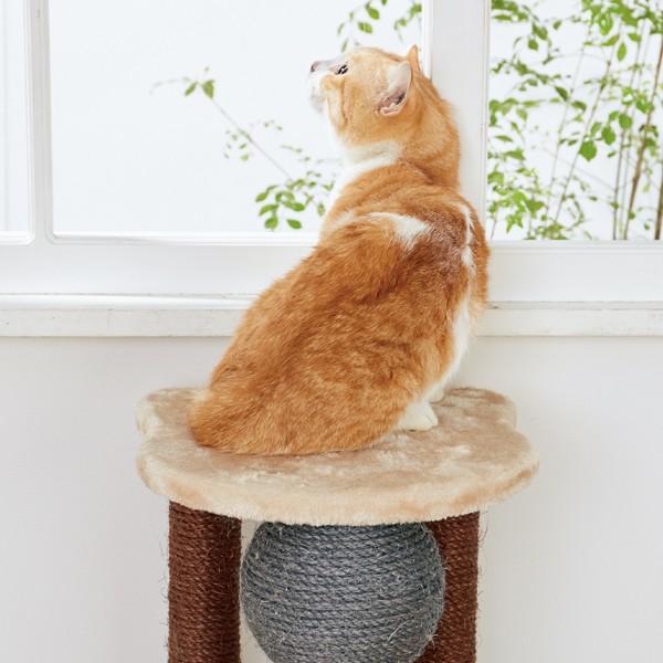 キャットタワー ニャンまるも爪とぎ　スリム 省スペース ペット 猫タワー 据え置　インテリア かわいい_5