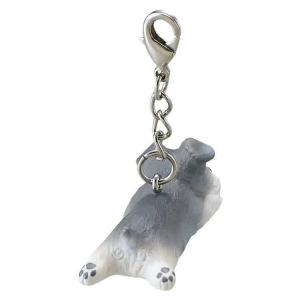 寝て待つシュナウザーミニチャーム : PEPPY ペピイ Yahoo!店 - 通販