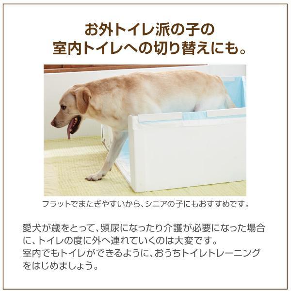 はみだし飛び散りを防ぐ囲い付きトイレ 60cm角 小型犬 中型犬