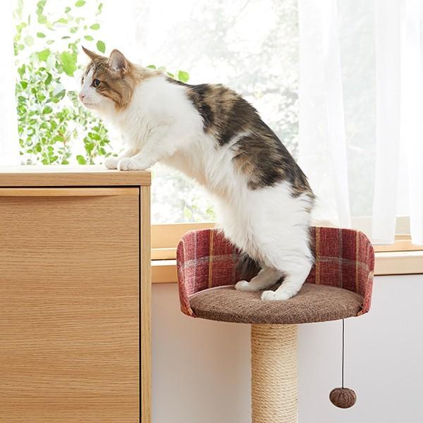 セール】 ロイヤルショコラタワー トール : PEPPY ペピイ Yahoo!店