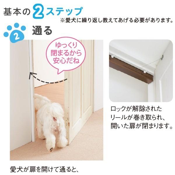 ペット用自動ドアキット　わん・にゃんフリーパス　（モリソン） ペット ゲート わん・にゃんフリーパス 犬 猫 ペットドア 犬用ドア 猫