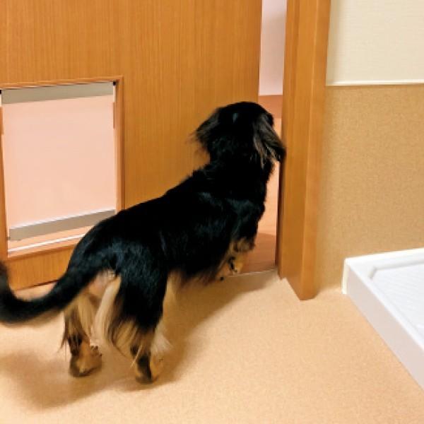 ペット ゲート わん・にゃんフリーパス 犬 猫 ペットドア 犬用ドア 猫