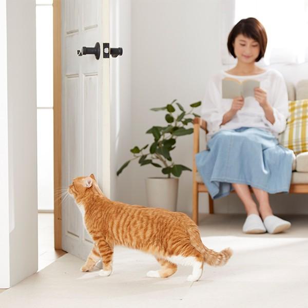 ペット ゲート わん・にゃんフリーパス 犬 猫 ペットドア 犬用ドア 猫