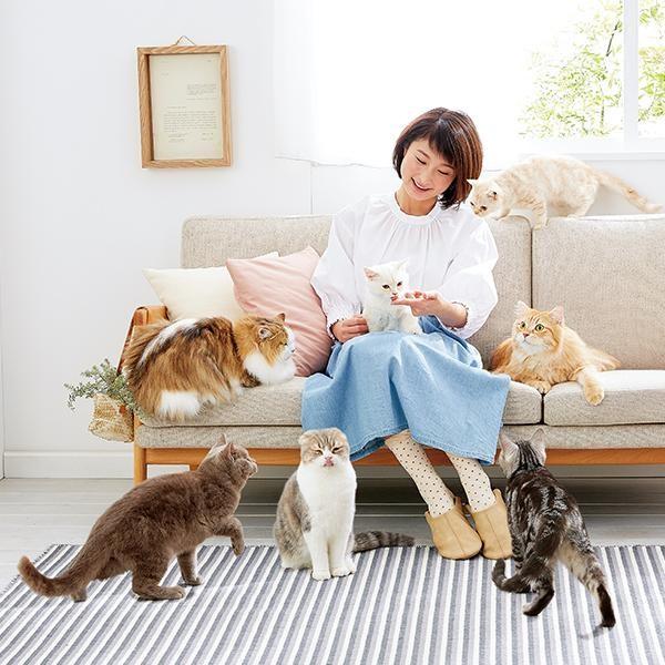PEPPY にゃろみ 猫用おやつ ささみ・かつお・まぐろ・サーモン 100本 PEPPY（ペピイ） 猫 おやつ PEPPY LIFE にゃろみ 3種セット 75本