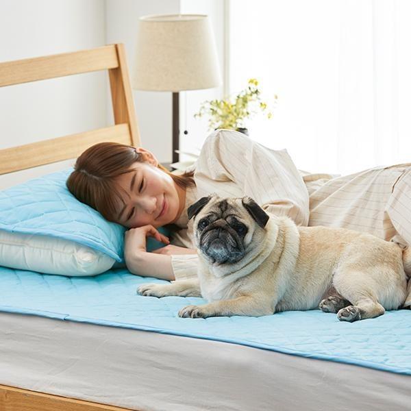 ペット 消臭達人 極 クール敷きパッド セミダブル 犬 猫 臭い おしっこ 体臭 消臭 抗菌 敷きパッド クール 涼感 夏 ひんやり 暑 お得な特別割引価格