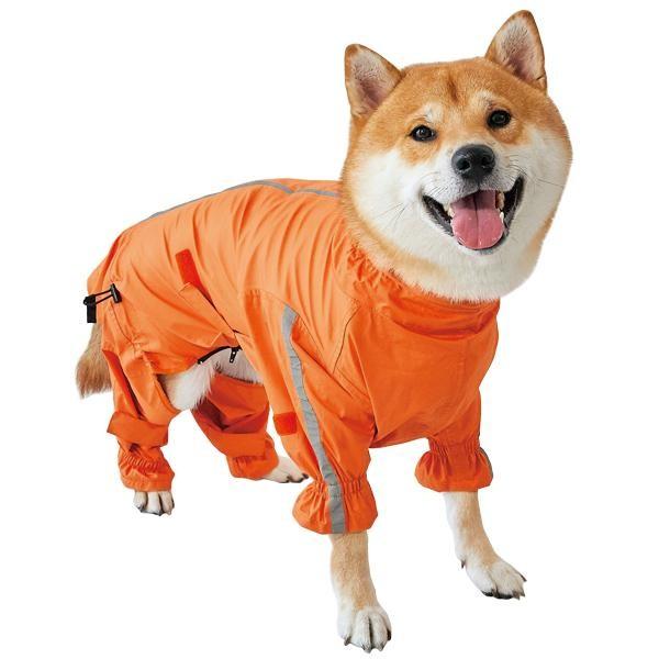 ストレート・ゴー！レインコート L ペット 犬 レインコート カッパ