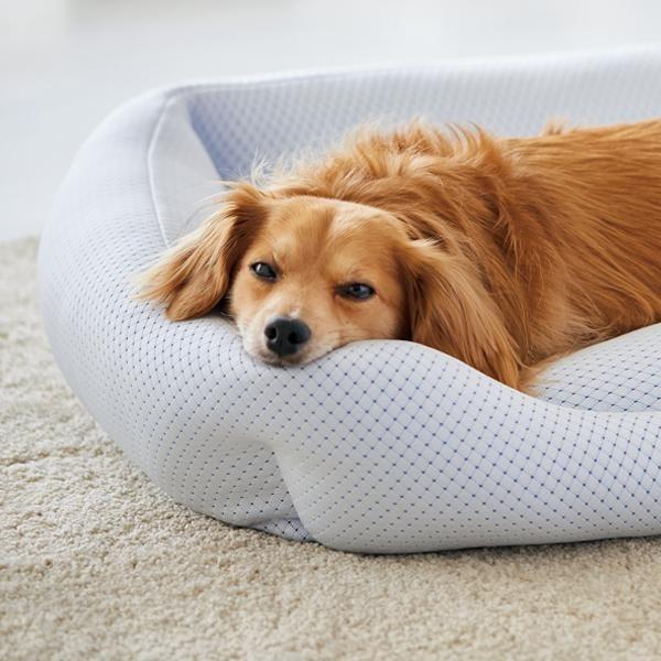 寝苦しい夜も快適 超クール スクエアベッド ｍ ペット 犬 猫 ベッド 夏 クール ひんやり 暑さ対策 熱中症対策 日本製 あご乗せ ペピイ Peppy Peppy ペピイ Paypayモール店 通販 Paypayモール