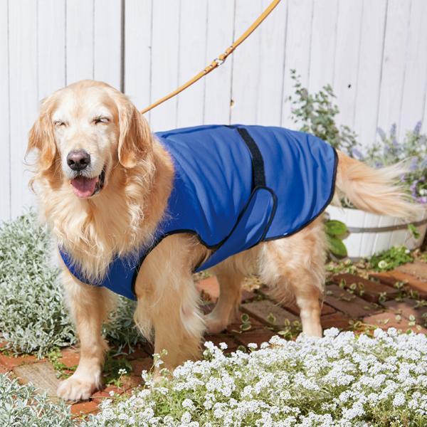 クーリングコート 7号 犬 夏用ウェア ひんやりウェア 散歩 夏
