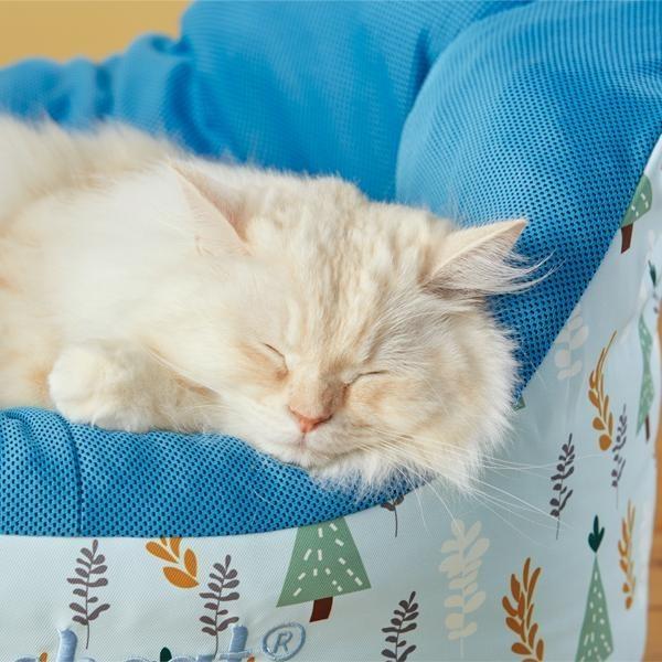 セール ボートベッド 猫 ベッド メッシュ 通気性 夏 カーブ フチ