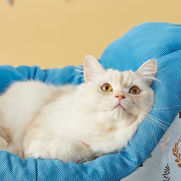 セール ボートベッド 猫 ベッド メッシュ 通気性 夏 カーブ フチ