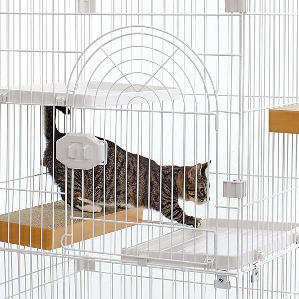 焼肉様ご注文のケージ用ステップ セット 楽天市場】ケージ用 ステップの通販