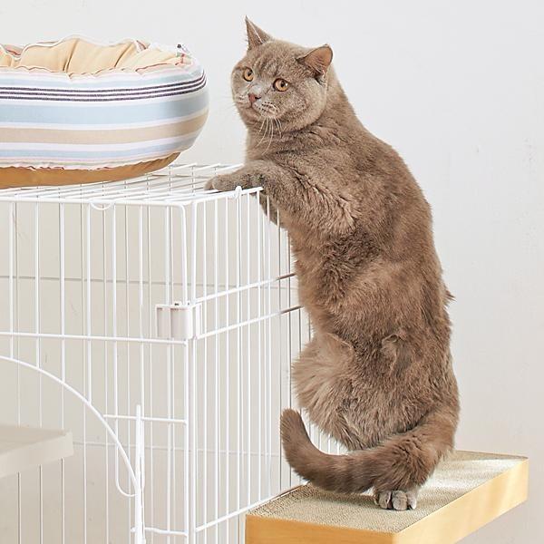 ケージ用ステップ　ショート・3個　※ケージは別売りです。猫 ケージ用ステップ 小猫 仔猫 シニア猫 短足猫 ゲージ 階段 取付簡単 ダンボール製 爪とぎ｜peppynet｜07