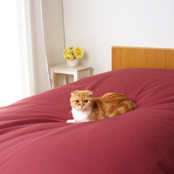 におワン！におニャン！やわらかマルチカバー 約・150×250cm 犬 猫 