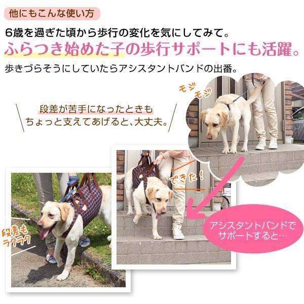 犬 介護 アシスタントバンド(歩行補助ハーネス） 約・着丈36×バスト