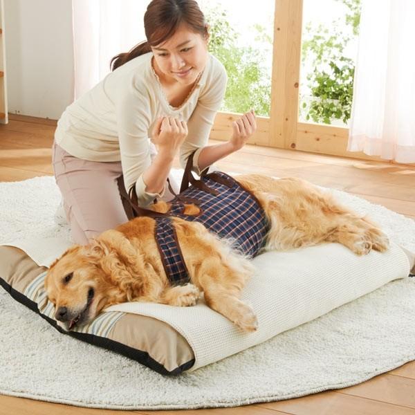 Gonta.SratoriPEPPYペピイ犬 介護 アシスタントバンド アシスタントバンドリフト(歩行補助ハーネス）｜ ペット用品の