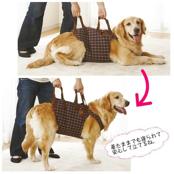 アシスタントバンド(犬の介護用胴輪) Amazon | アシスタントバンド (Assistantband) 国産デニム 犬の