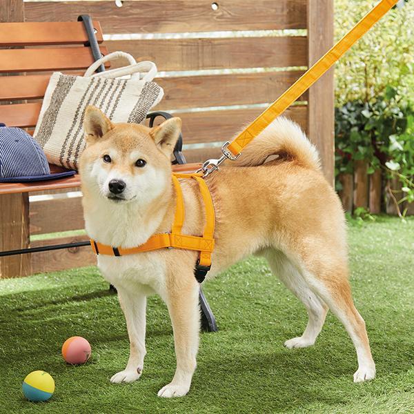 抜けにくいショルダーハーネス Ｍ（旧商品名：抜けにくい抗菌ショルダーハーネス）　犬 ハーネス 散歩｜peppynet｜09