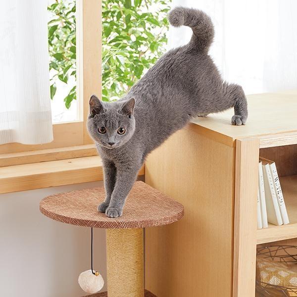 おしゃれ キャットタワー 猫タワー お昼寝 ペットベッド 915-140 おしゃれ キャットタワー 猫タワー お昼寝 ペットベッド 915-140