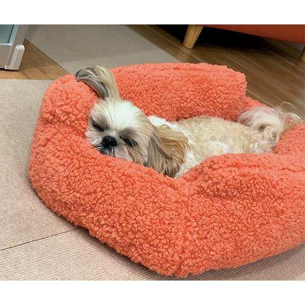 犬ベッド 猫ベッド 抗菌防臭ふんわりサンドイッチベッド SS 秋 冬