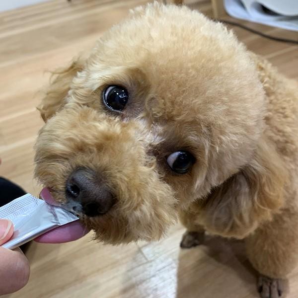 PEPPY（ペピイ） 犬おやつ わんみぃ ささみ 5本 PEPPY LIFE 犬