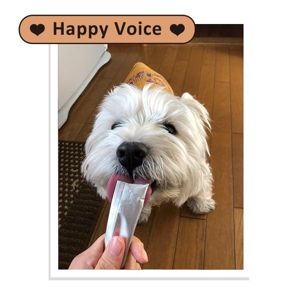 PEPPY（ペピイ） 犬おやつ わんみぃ ささみ 5本 PEPPY LIFE 犬