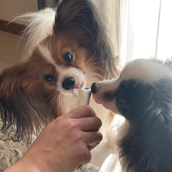 PEPPY（ペピイ） 犬おやつ わんみぃ ささみ 5本 PEPPY LIFE 犬