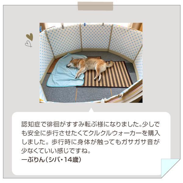 ペピィくるくるウォーカー7枚セットはさまり防止老犬徘徊