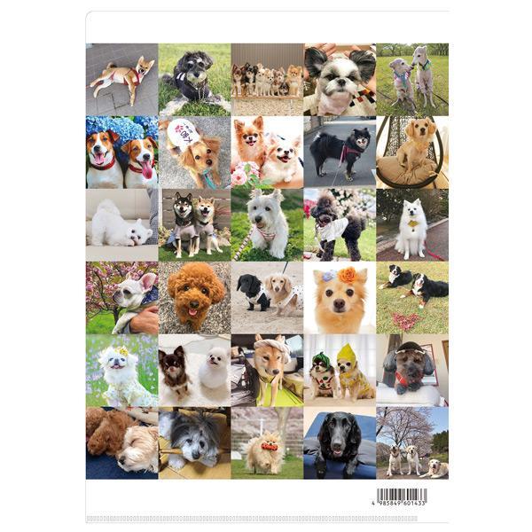 犬 猫 クリアファイル 312頭のわんにゃんクリアファイル : PEPPY