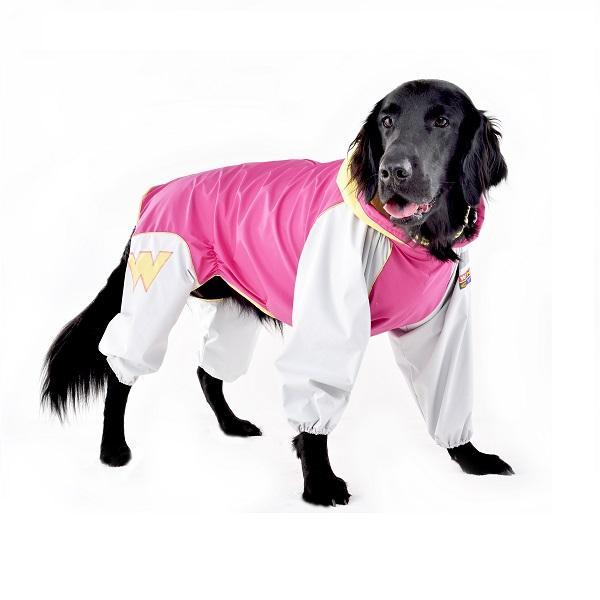 犬 レインコート ＪコートＢ2レインコート 6号　犬 いぬ レインコート かっぱ 足つき ズボン 雨 散歩 爆買_2