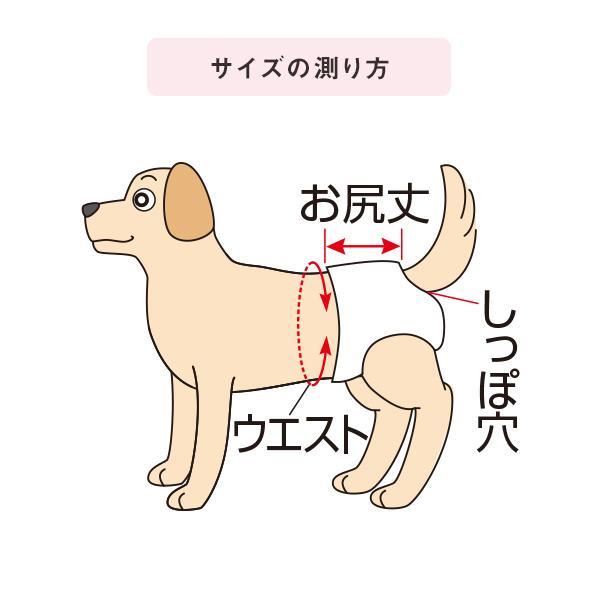 PEPPY うんぽパンツ L・12枚 犬 おむつ 介護 おもらし シニア犬 老犬