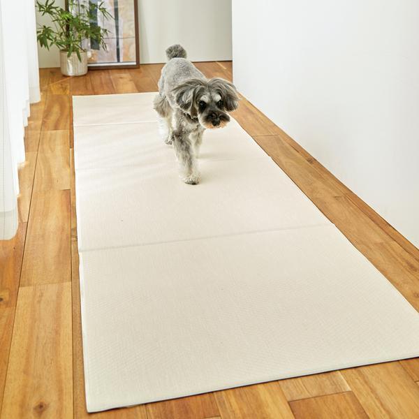 ペットマット 折りたためる防水クッションマット 廊下敷 70 60 犬 猫 防水 廊下 マット 滑り止め 健康 足腰 関節 ケア シニア 介護 ペット ペピイ Pe Ra Peppy ペピイ Yahoo 店 通販 Yahoo ショッピング