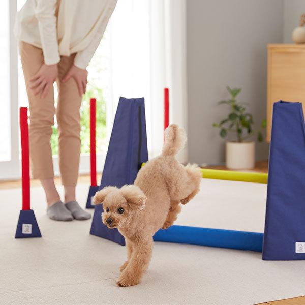 犬おもちゃ Sippole アジリティ ハードル 犬 おもちゃ 室内 遊び トレーニング 運動 健康 ストレス発散 ペット ペピイ PEPPY|peppynet|03