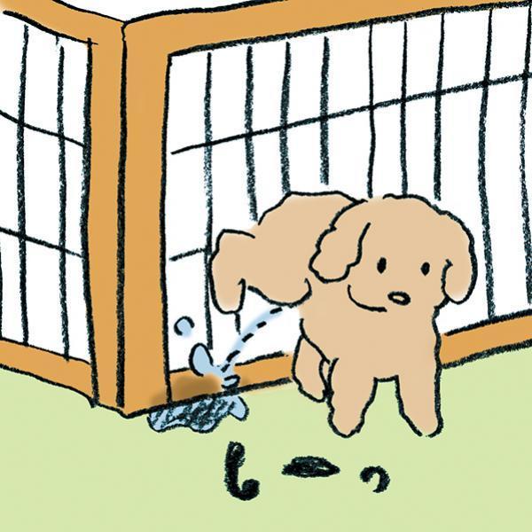屋根付きマーカケージ 犬 ケージ サークル-