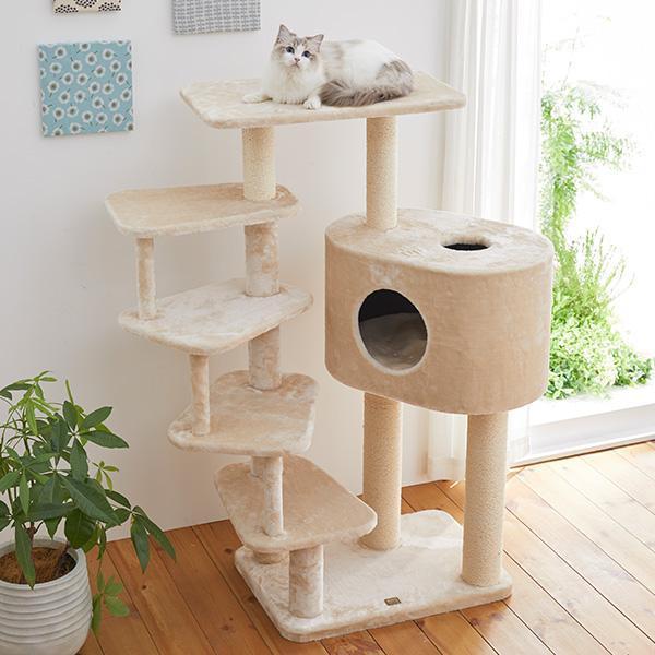 最新の激安 ステップいっぱいキャットタワー 猫 ねこ タワー 多頭 仔猫 シニア猫 短足 ステップ ハウス ペット ペピイ Peppy 在庫あり 即納 Homeofmalones Com