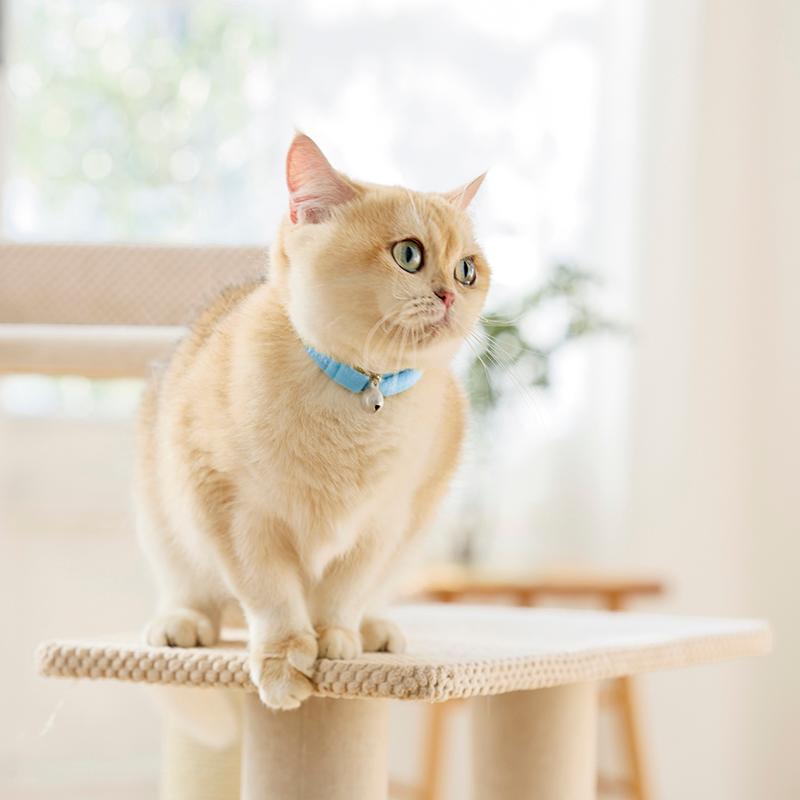 PEPPY（ペピイ） PEPPY LIFE ふわふわのびーる猫首輪 猫 ねこ 首輪