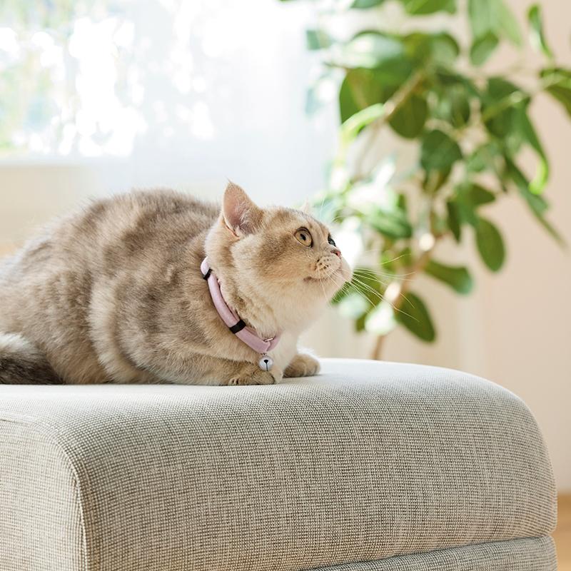 PEPPY（ペピイ） PEPPY LIFE ふわふわのびーる猫首輪 猫 ねこ 首輪