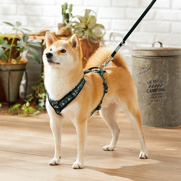 サロンドハピネス 新品未使用草履 M〜L サロンドハピネス 新品未使用草履 M〜L