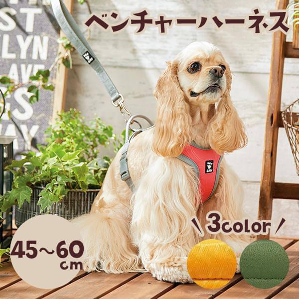 犬ハーネス フルッタ ベンチャーハーネス 45−60（45−60） : PEPPY