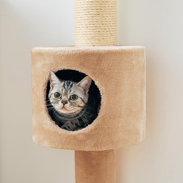 キャットタワー おうちで木登りタワーボックス付き (突っ張り型 キャットタワー おうちで木登りタワーボックス付き (突っ張り型