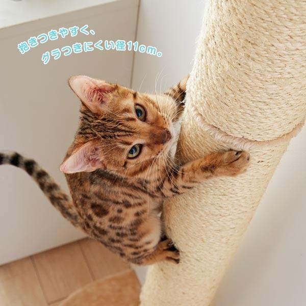キャットタワー おうちで木登りタワーボックス付き (突っ張り型 キャットタワー おうちで木登りタワーボックス付き (突っ張り型
