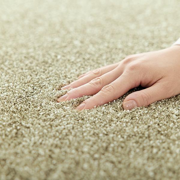 超消臭・制菌ラグ 180×180 犬 猫 ラグ 抗菌 消臭 防ダニ ペット 清潔