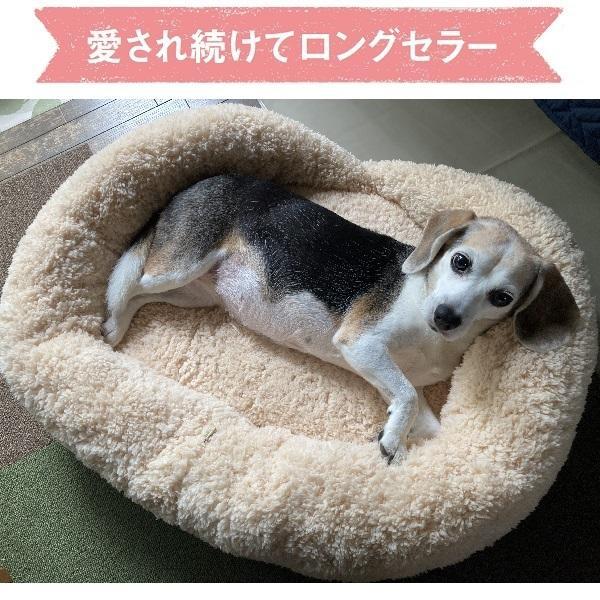抗菌防臭ふんわりスクエアベッド Ｓ・替えカバー付_16