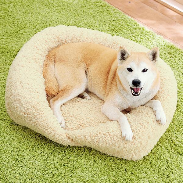 抗菌防臭ふんわりスクエアベッド M・替えカバー付 : PEPPY