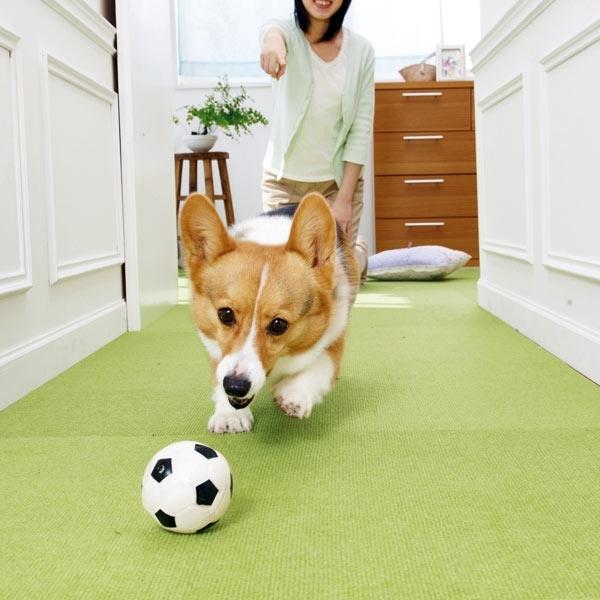 サンコー 犬 猫 滑り止め ピタッと吸着タイルマット サンコー 犬 猫 滑り止め ピタッと吸着タイルマット